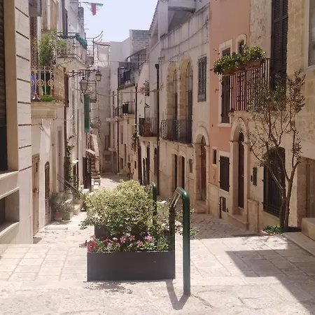Maison Vittoria9